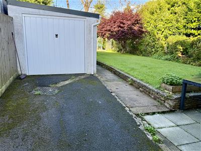 Picture 29